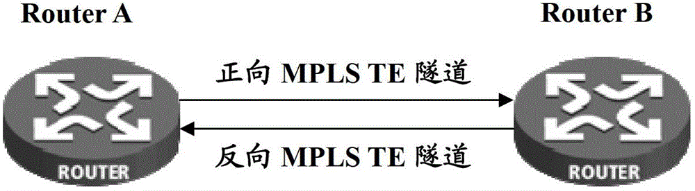 Bi-directional forwarding detection (BFD) method of multiple protocol label switching (MPLS) traffic engineering (TE) bi-directional tunnel and routing equipment