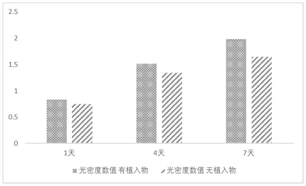 Calcium silicate/magnesium silicate biological-bone porous implant as well as preparation method and application thereof