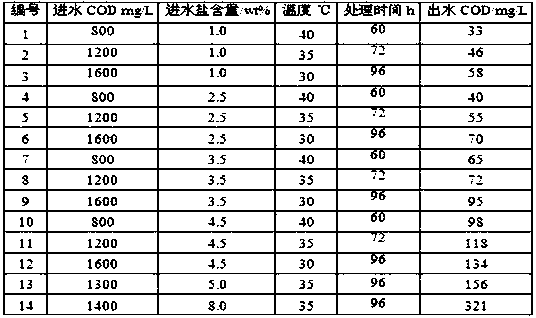 A kind of paracoccus and its culture application