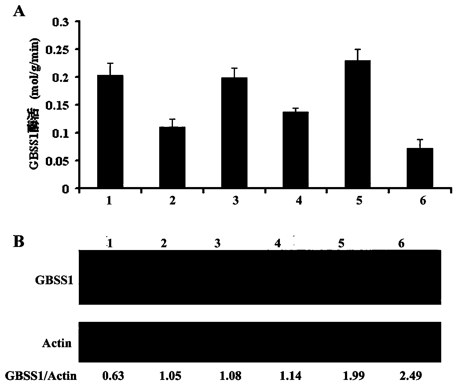 GBSS1 specific enzyme activity determination method