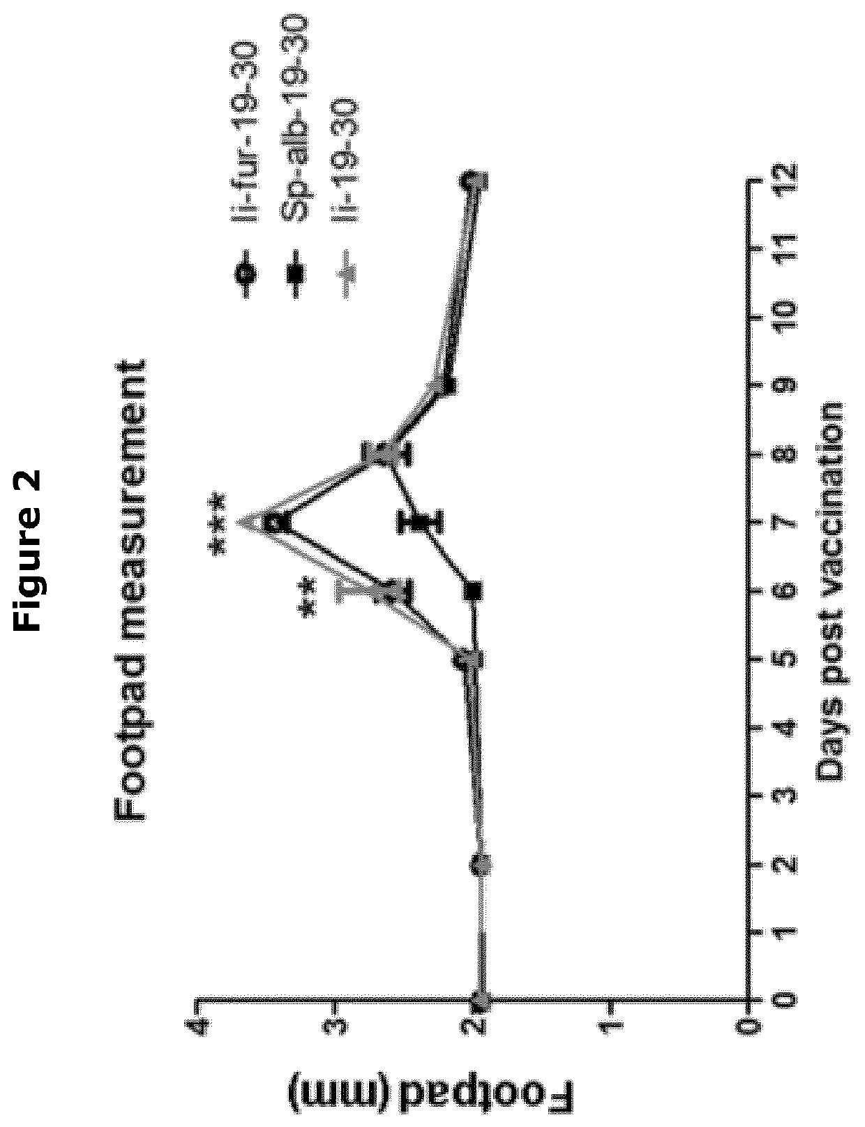 Ii vaccine adjuvant