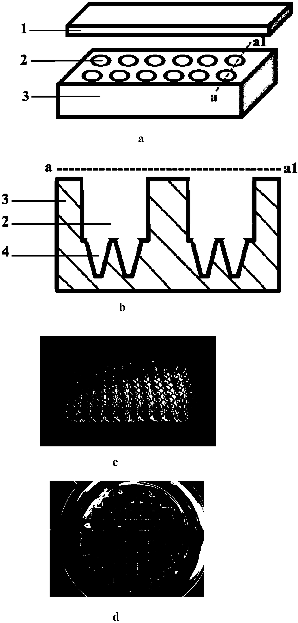 Standardized high-throughput three-dimensional cell preparation device and application thereof