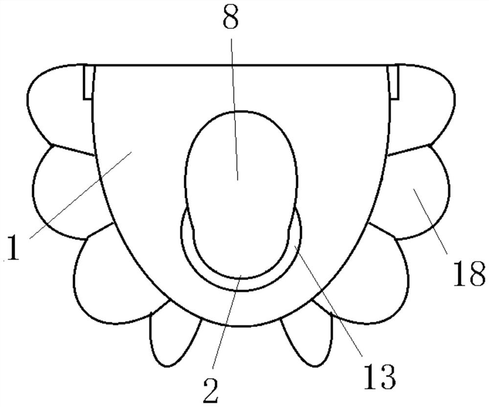 Disposable enteroscopy pants