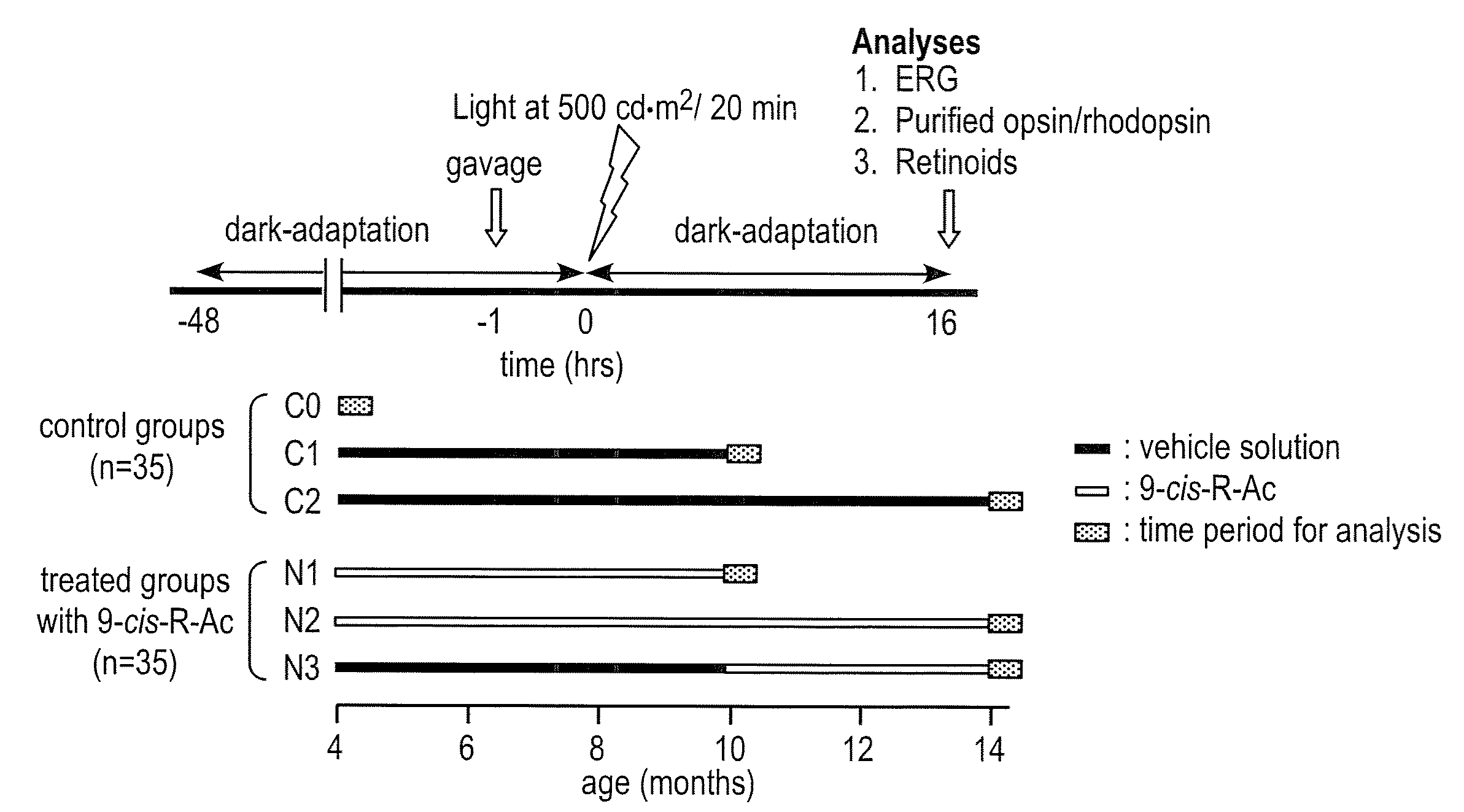 Methods for the treatment and prevention of age-related retinal dysfunction