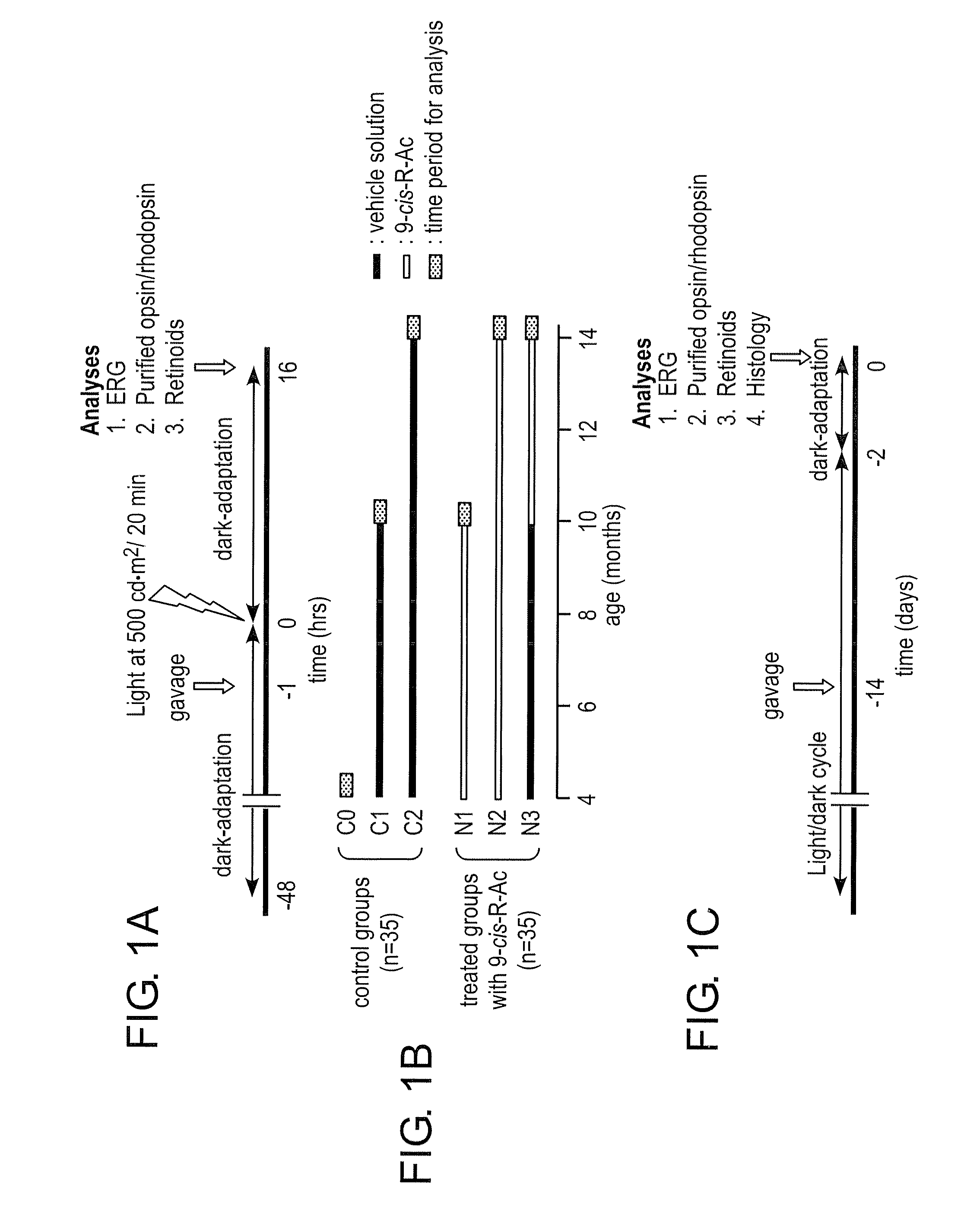 Methods for the treatment and prevention of age-related retinal dysfunction