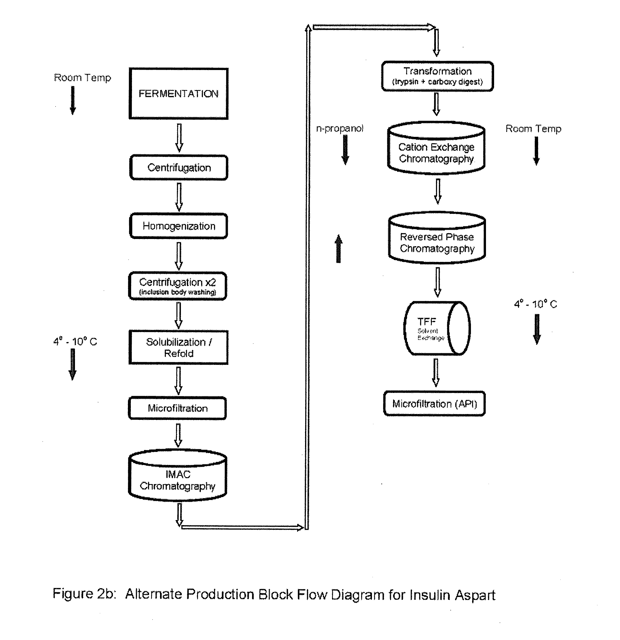 Aspart proinsulin compositions and methods of producing aspart insulin analogs therefrom