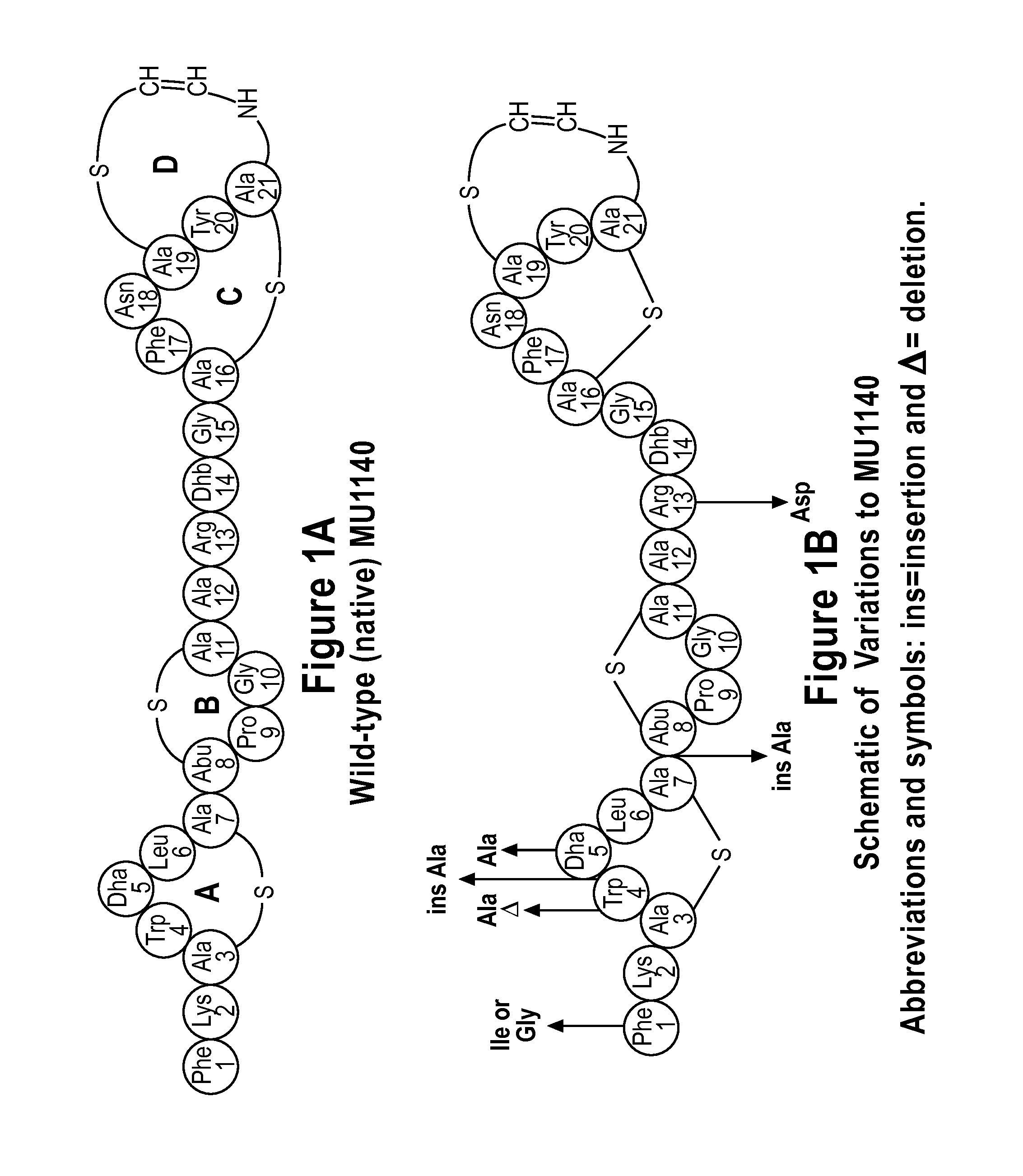 Replacement Therapy for Dental Caries