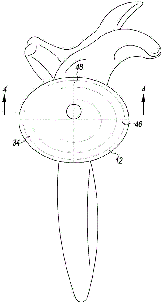 Inverted shoulder orthopaedic implant with oval glenoid convex bearing head component