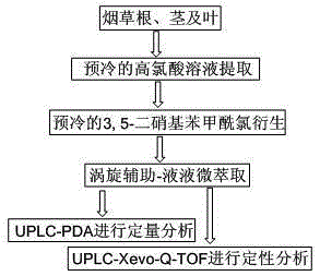 Detection method of polyamine substances in tobacco roots, stems and leaves