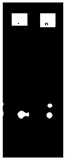 Kit used for RNA extraction and extraction method thereof