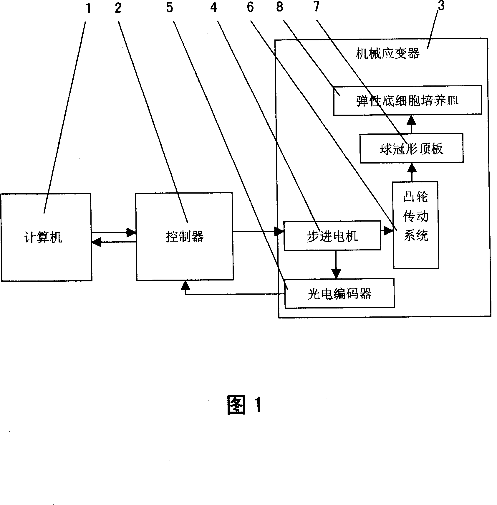 Experimental apparatus for loading cell through digital controlled mechanical strain