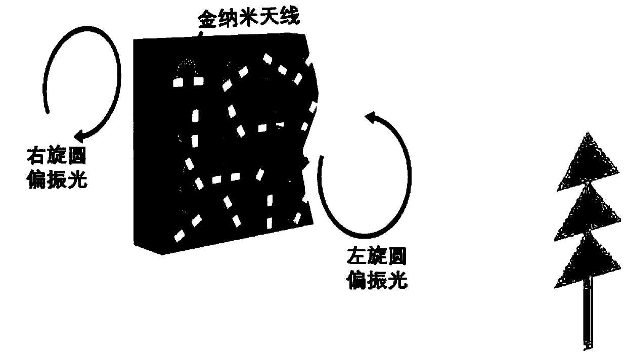 A method for surface holography based on ω-shaped conformal metasurfaces