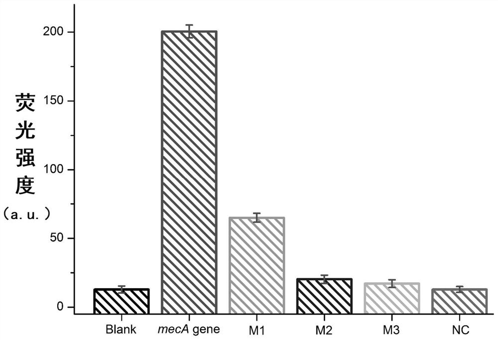 A method and detection kit for label-free fluorescent detection of Staphylococcus aureus meca gene