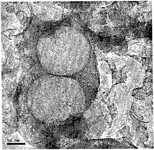 Method for preparing anode composite material for lithium sulfur secondary batteries