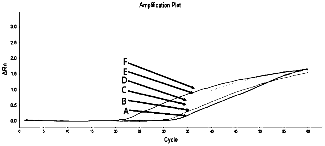 Primer group, kit and method for detecting BRAF gene mutation