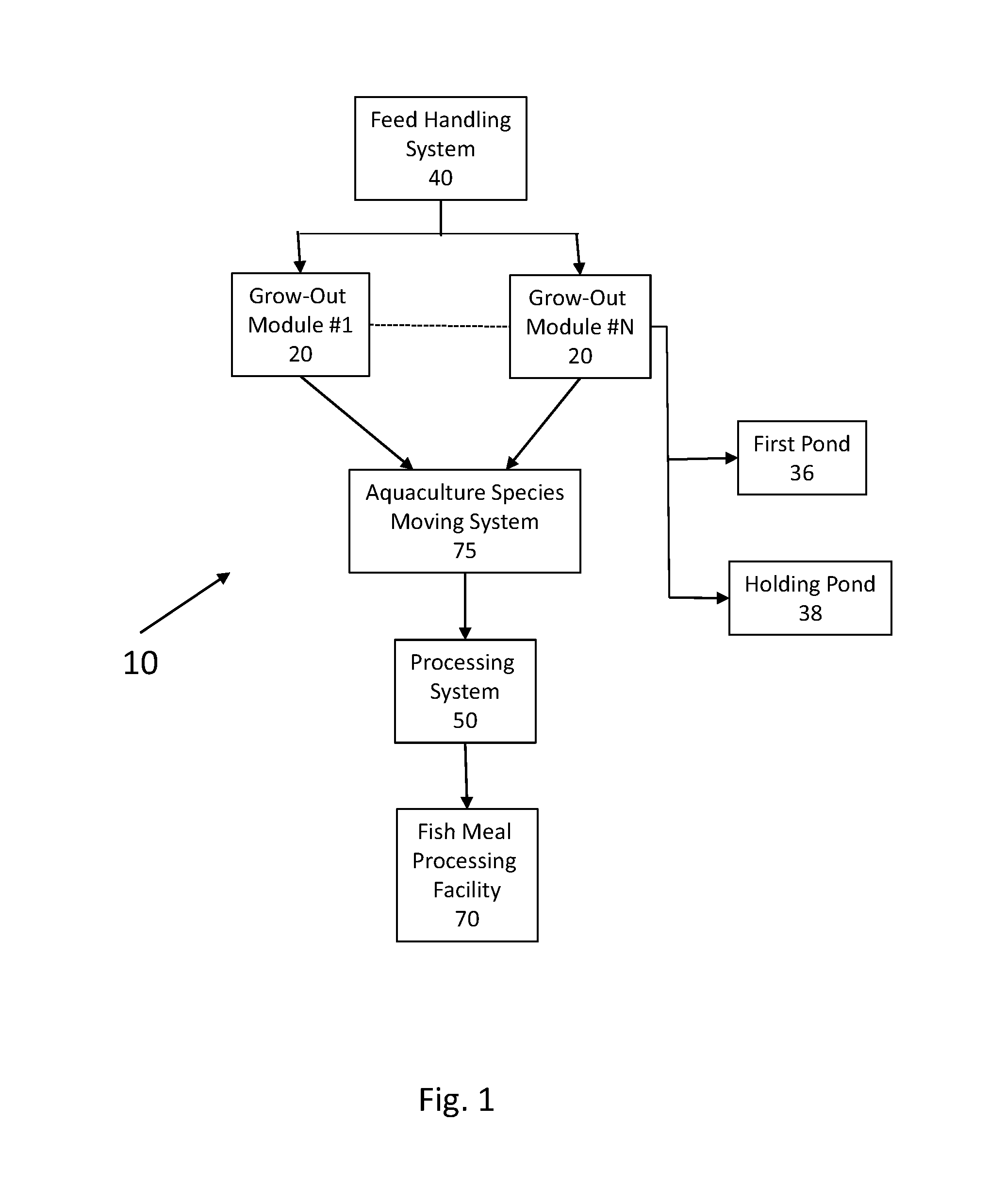 Vertically integrated aquaculture system