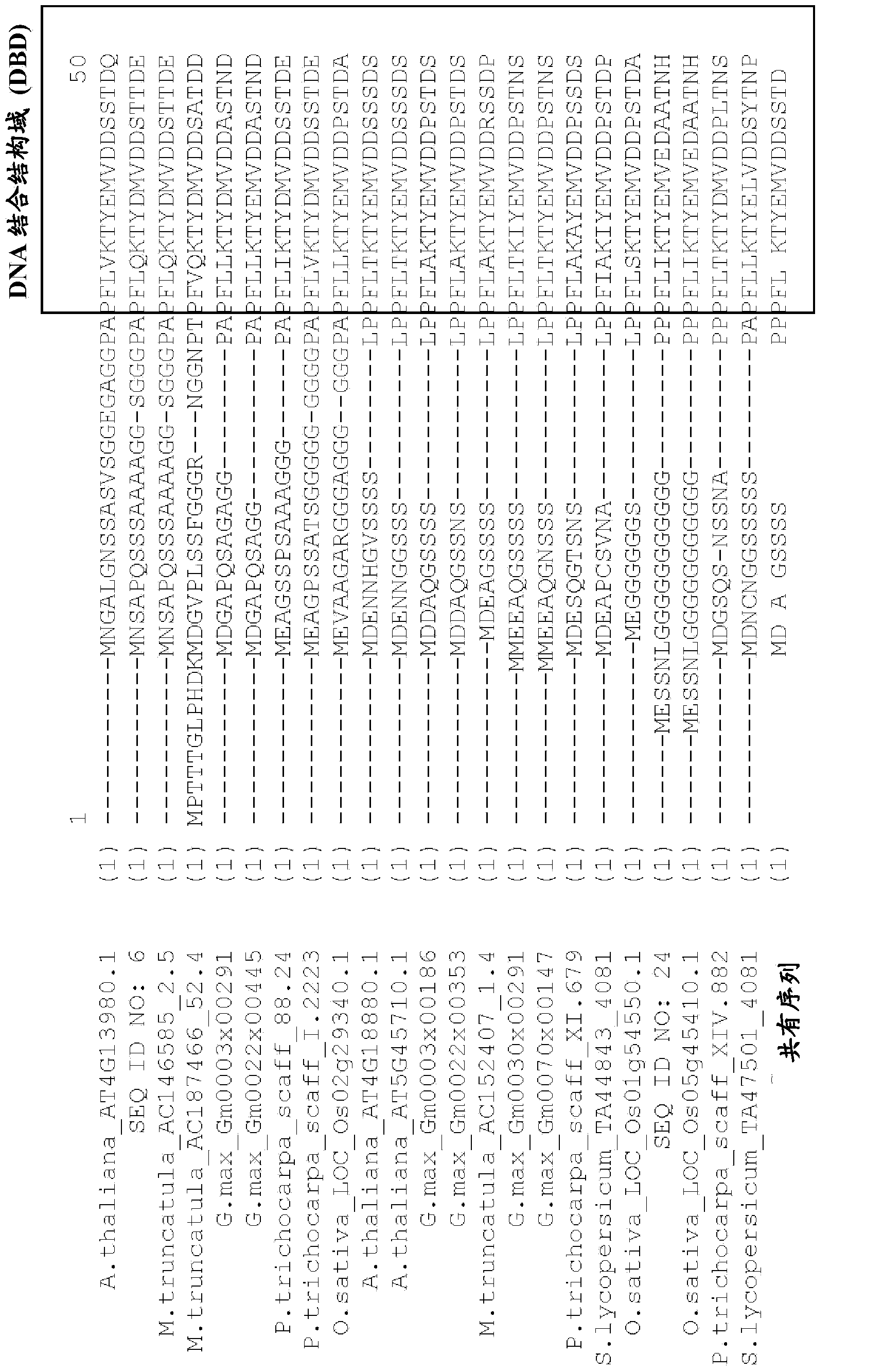 Plants having enhanced yield-related traits and a method for making the same