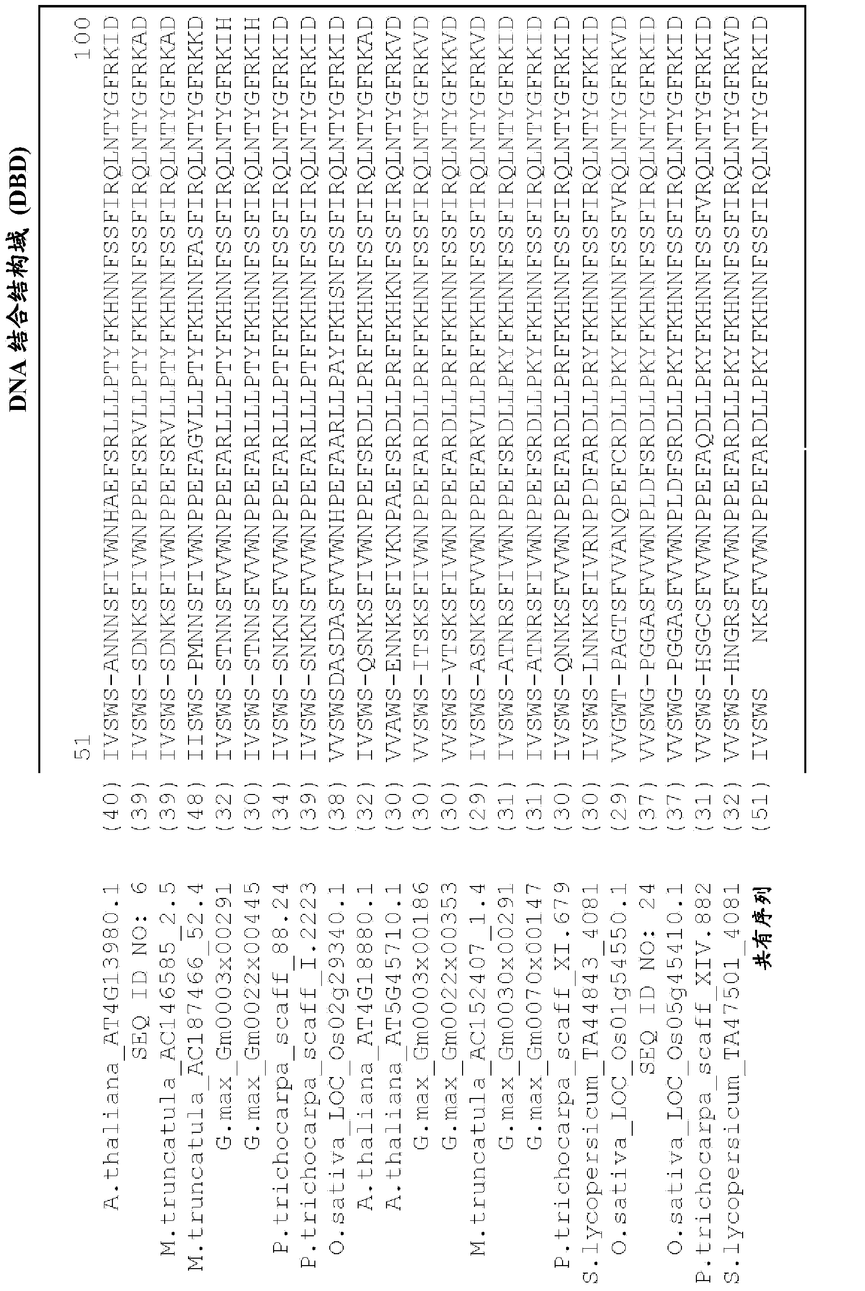 Plants having enhanced yield-related traits and a method for making the same