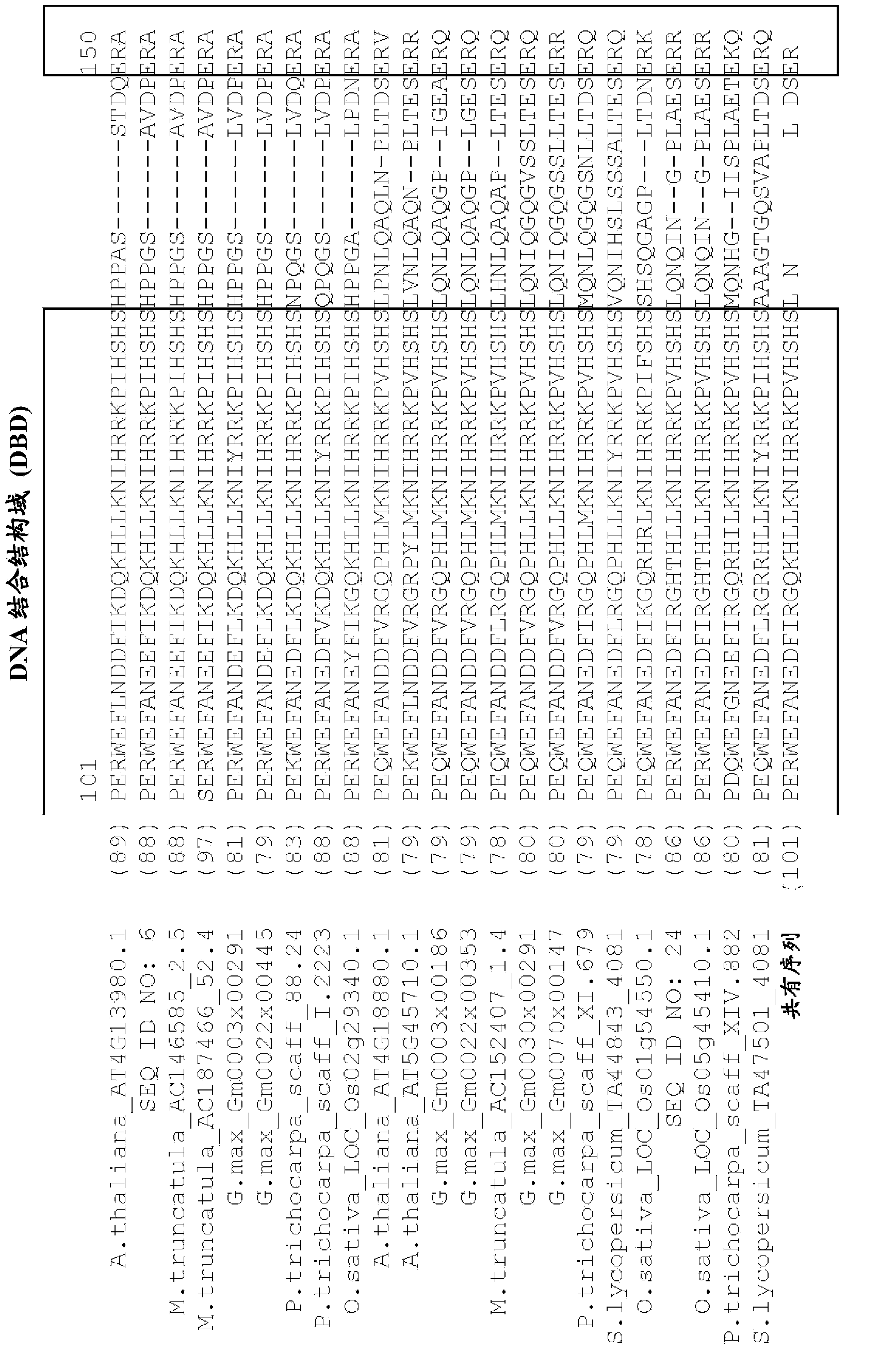 Plants having enhanced yield-related traits and a method for making the same