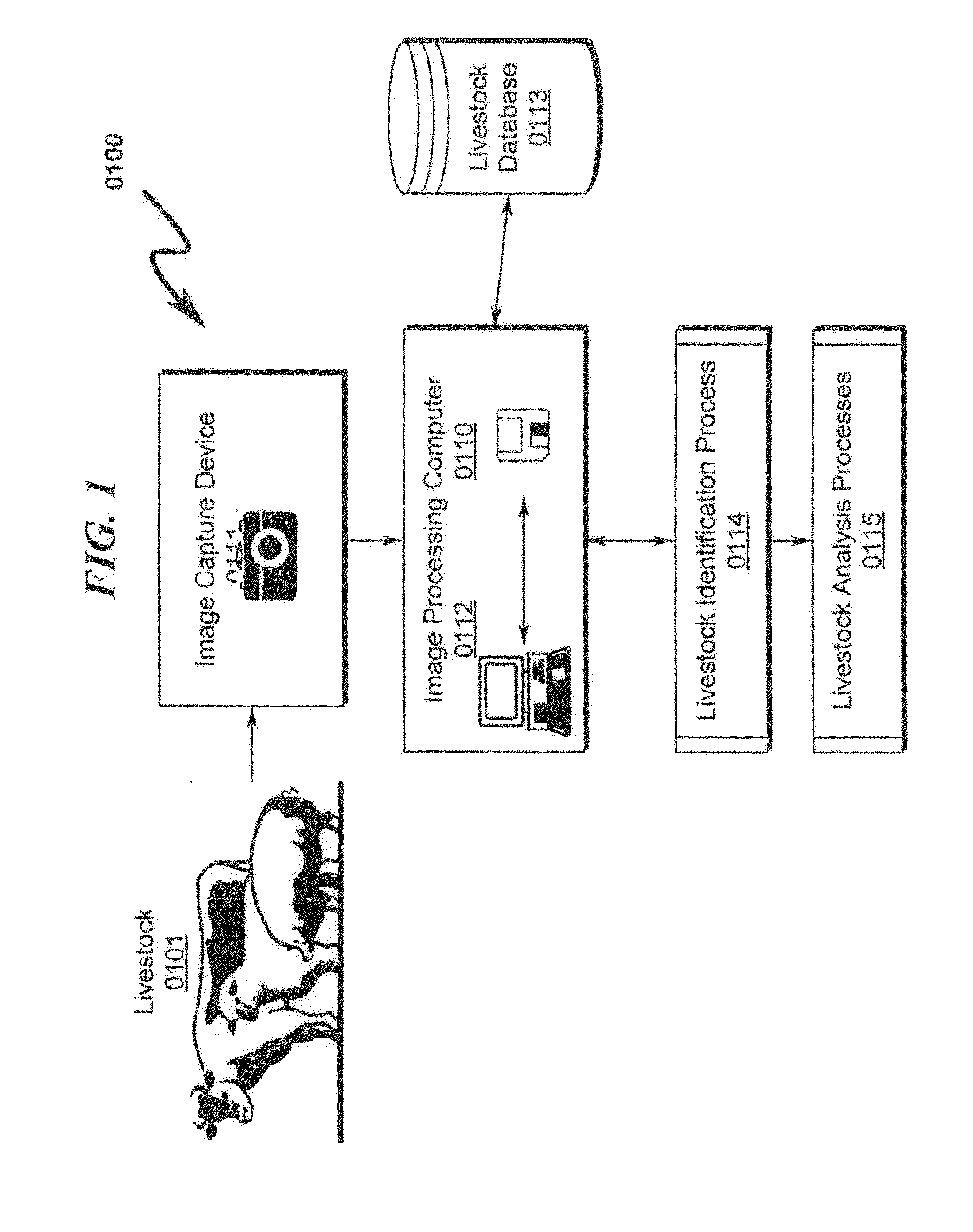 Livestock Identification and Monitoring