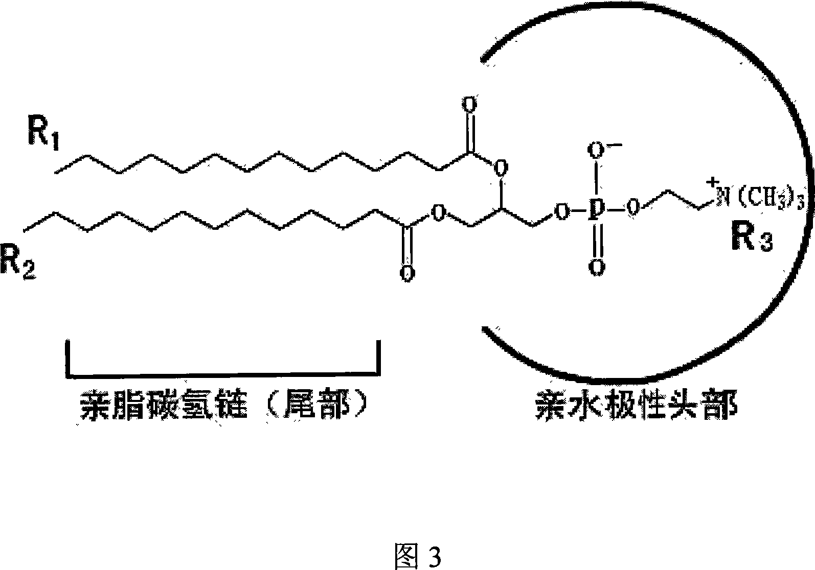 Carrier of liposome medication, and preparation method