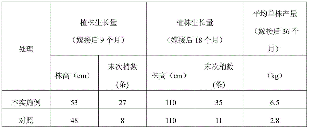 Fruit tree three-bud grafting method