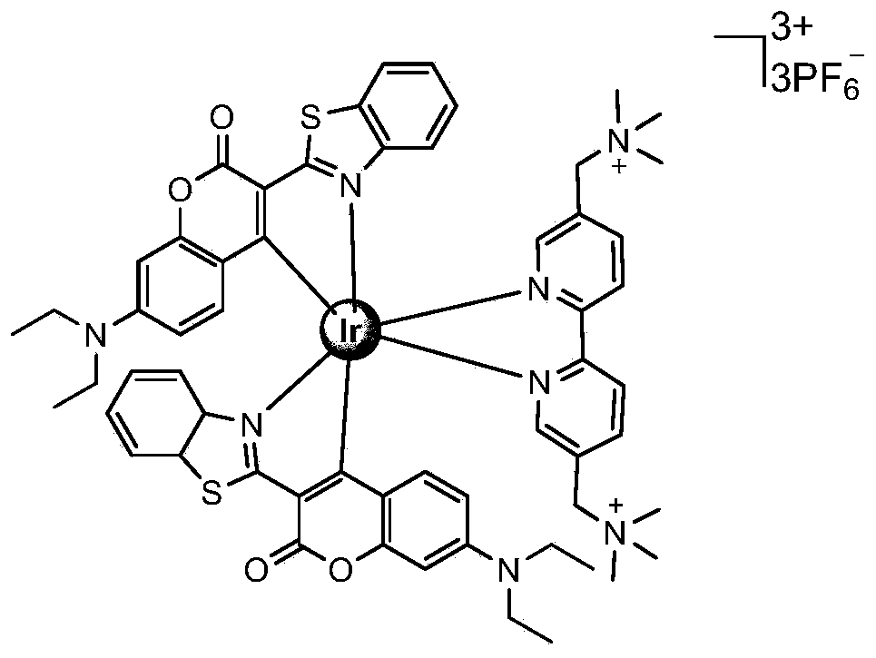 Novel metal iridium complex and preparation method and application thereof