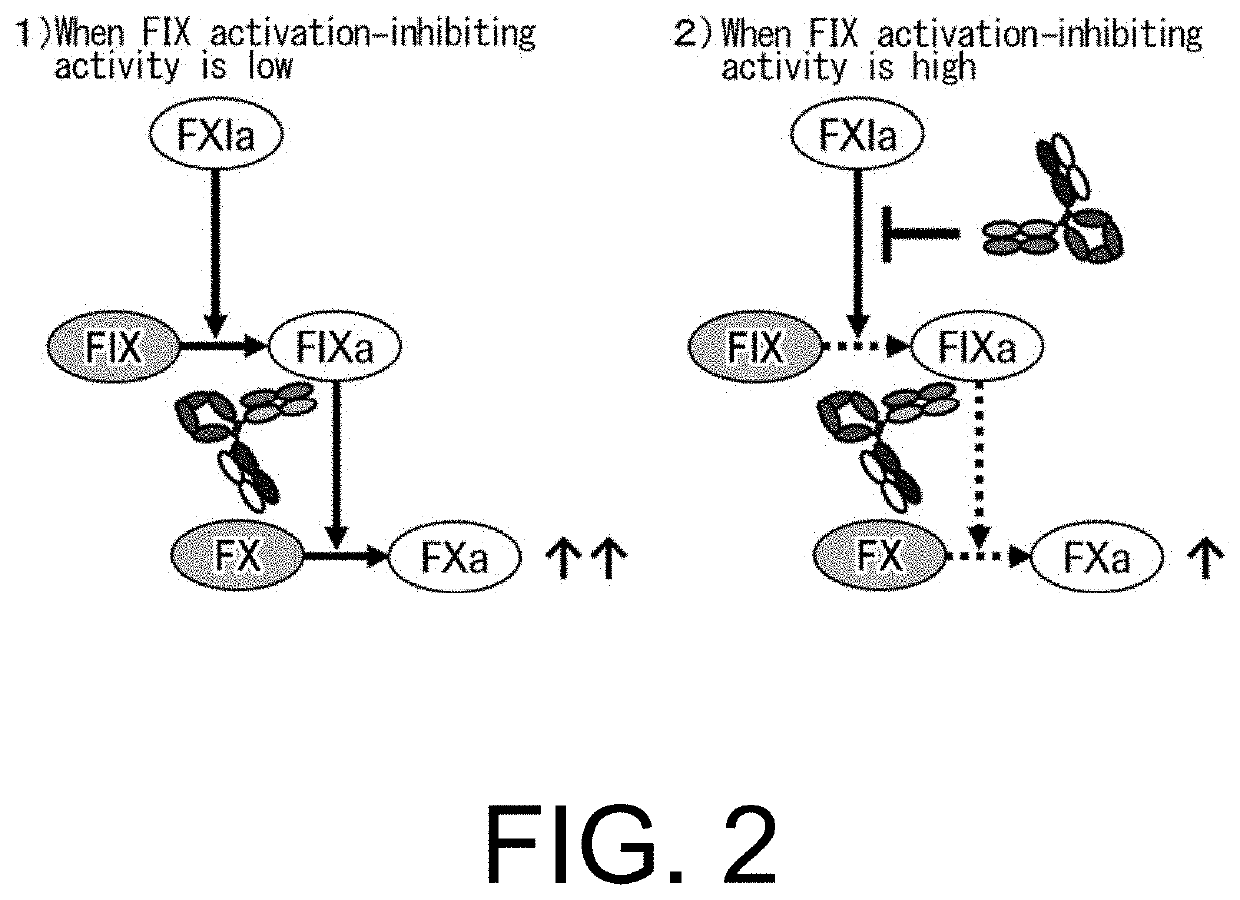 Multispecific antigen-binding molecules having blood coagulation factor VIII (FVIII) cofactor function-substituting activity and pharmaceutical formulations containing such a molecule as an active ingredient