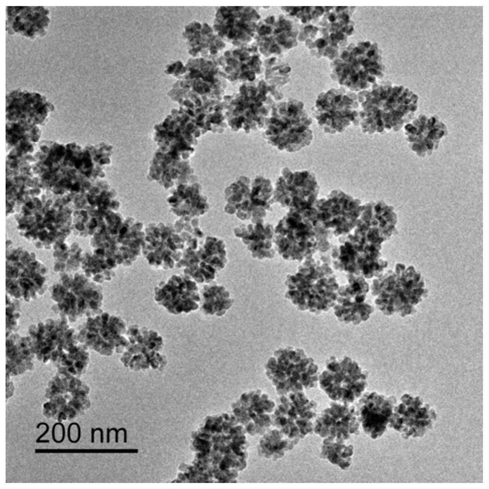 A kind of monodisperse, superparamagnetic ferroferric oxide nano flower and preparation method thereof