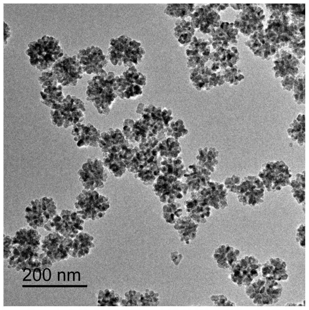 A kind of monodisperse, superparamagnetic ferroferric oxide nano flower and preparation method thereof