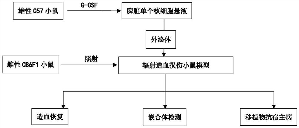 Preparation method for plasma exosomes of mobilized hematopoietic stem cells and application of plasma exosomes