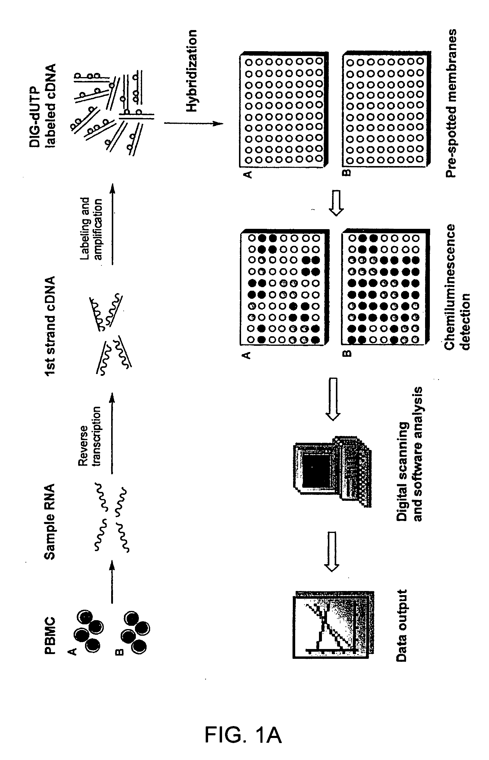 Gene expression profiling technology for treatment evaluation of multiple sclerosis