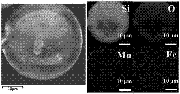 Magnetic compound diatomite material and preparation method thereof