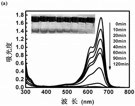 Magnetic compound diatomite material and preparation method thereof