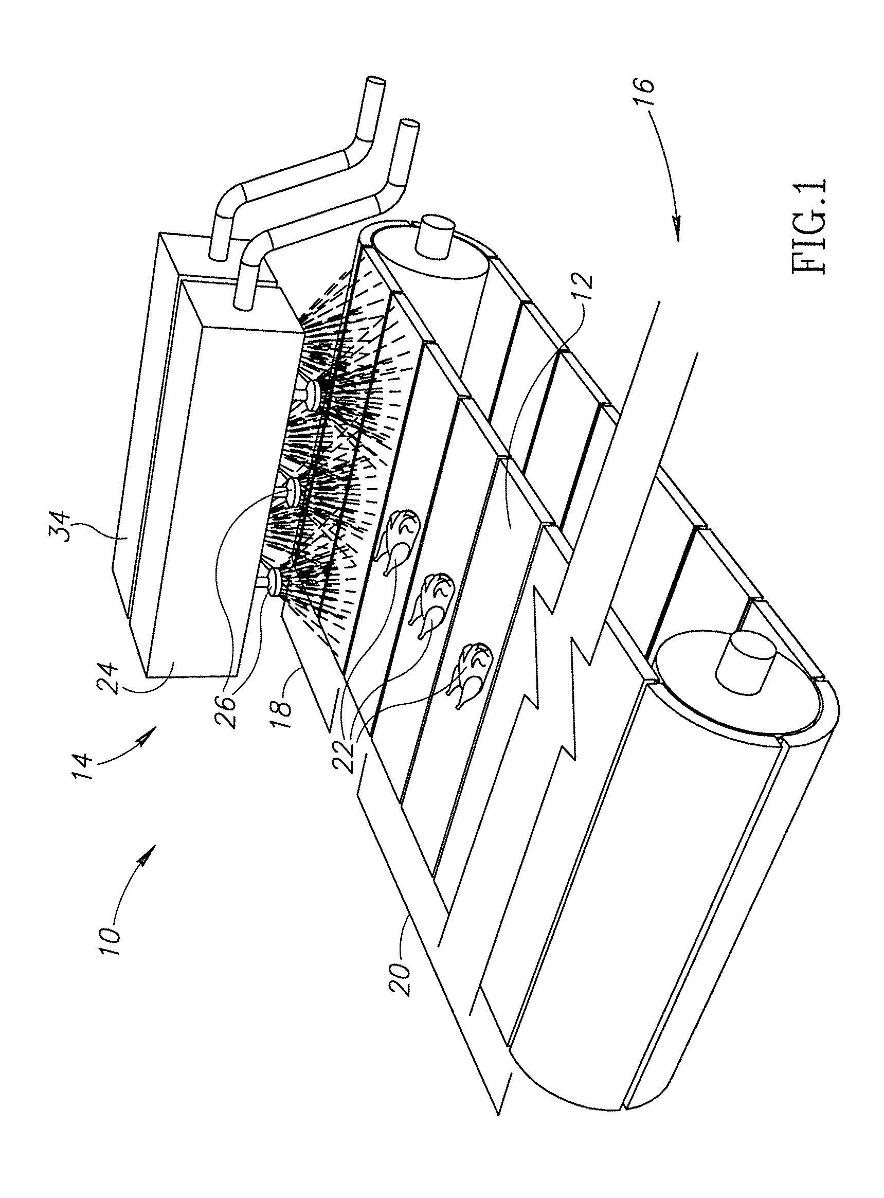 Ozone-based conveyor cleaning system