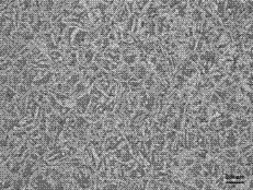 Double-phase stainless steel casting blank microstructure display chromatic corrosive and corrosion method