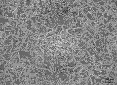 Double-phase stainless steel casting blank microstructure display chromatic corrosive and corrosion method