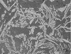 Double-phase stainless steel casting blank microstructure display chromatic corrosive and corrosion method