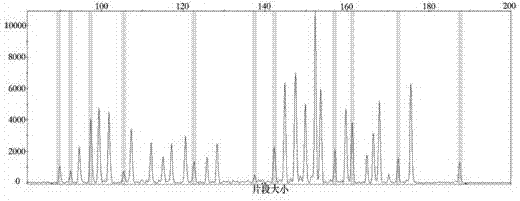 Detection kit for charcot marie tooth disease related PMP22 gene copy number variation