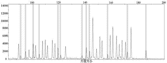 Detection kit for charcot marie tooth disease related PMP22 gene copy number variation