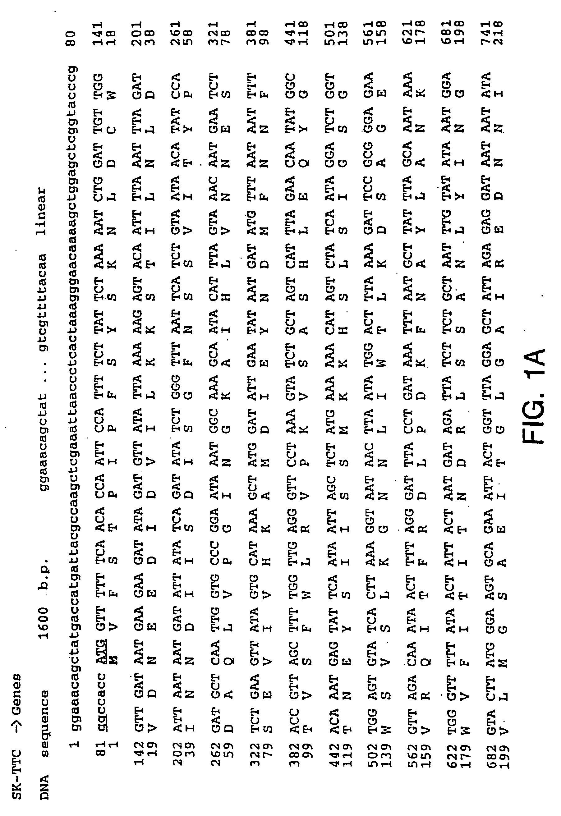 Methods for direct visualization of active synapses