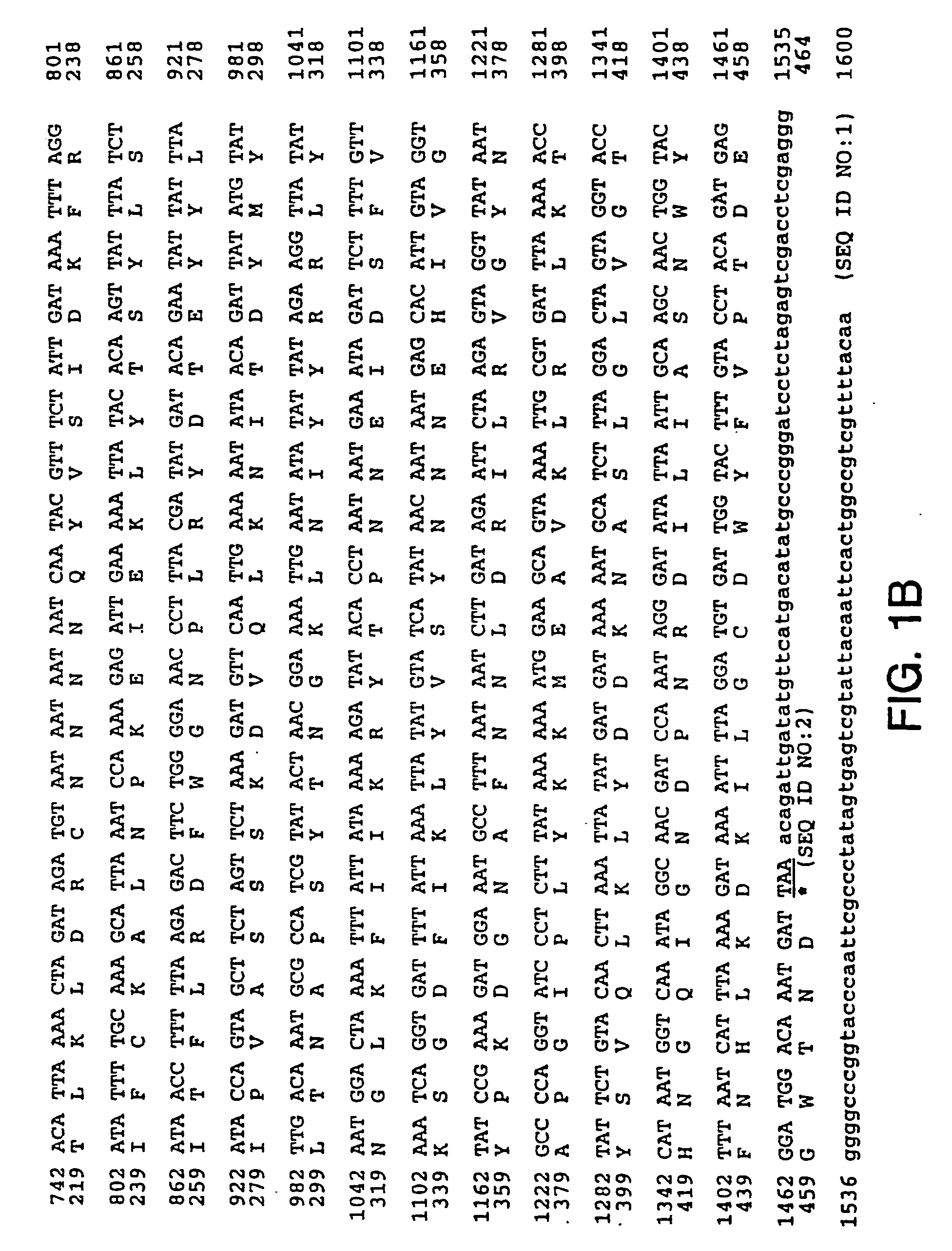 Methods for direct visualization of active synapses