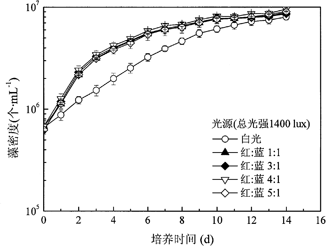 Device and method for coupling producing biological oil by utilizing microalgae to deeply treating wastewater