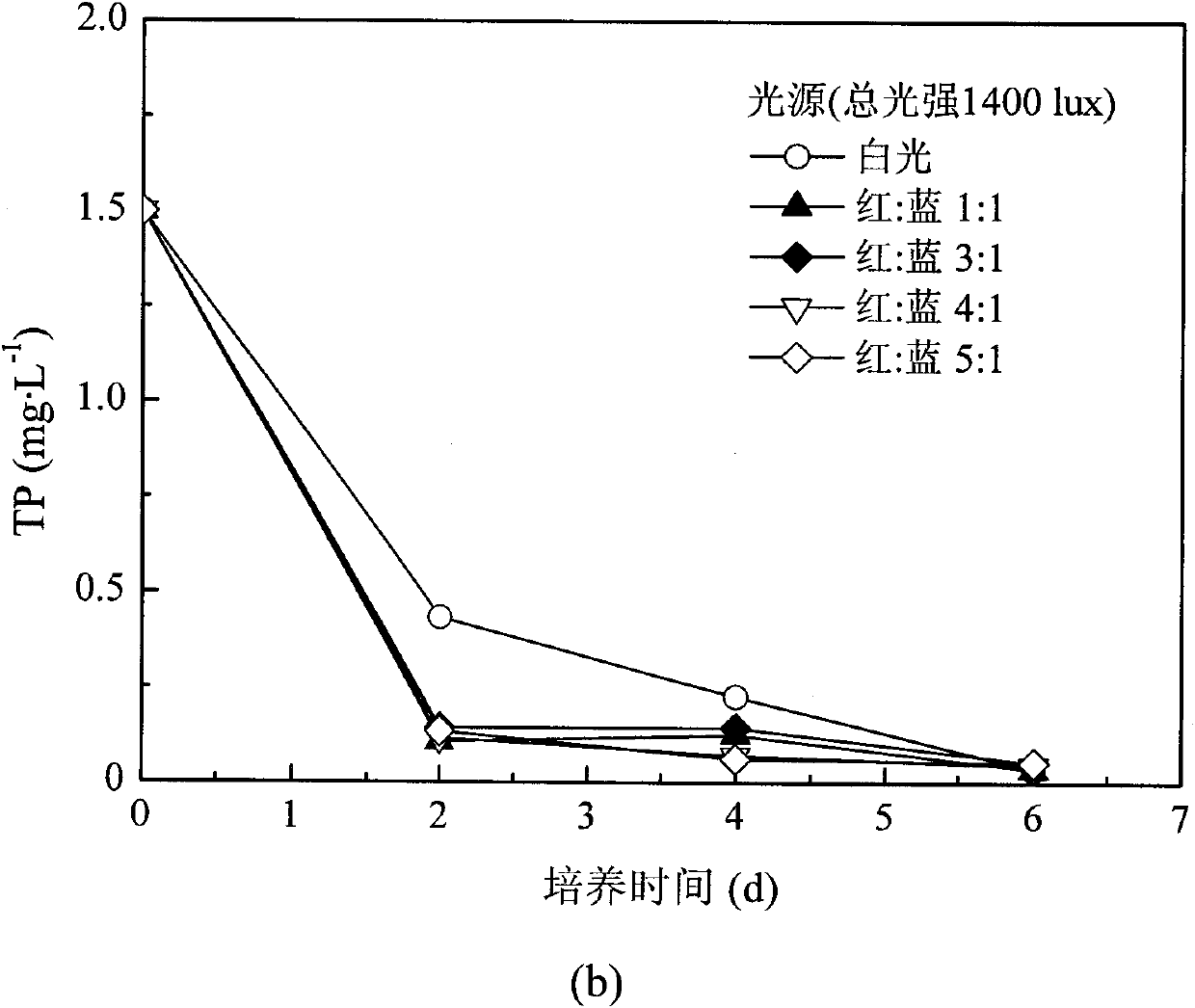 Device and method for coupling producing biological oil by utilizing microalgae to deeply treating wastewater