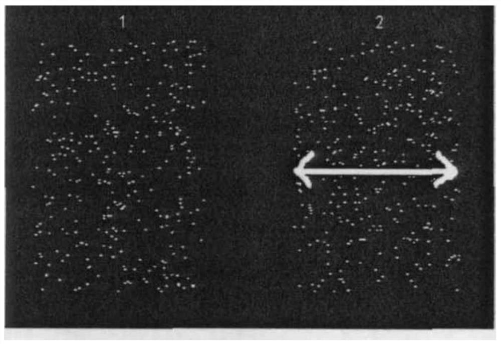 A training system and method based on the function of visual magnolia-dorsal pathway