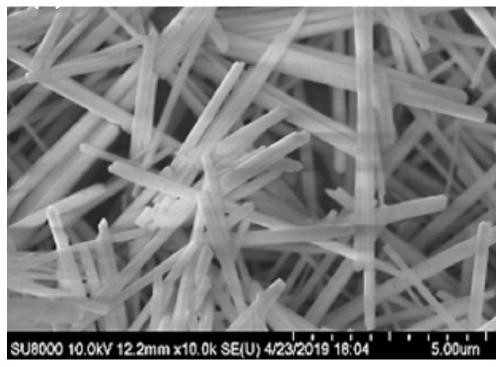 Preparation method of NiMo hydrogen evolution electrocatalyst