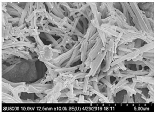 Preparation method of NiMo hydrogen evolution electrocatalyst