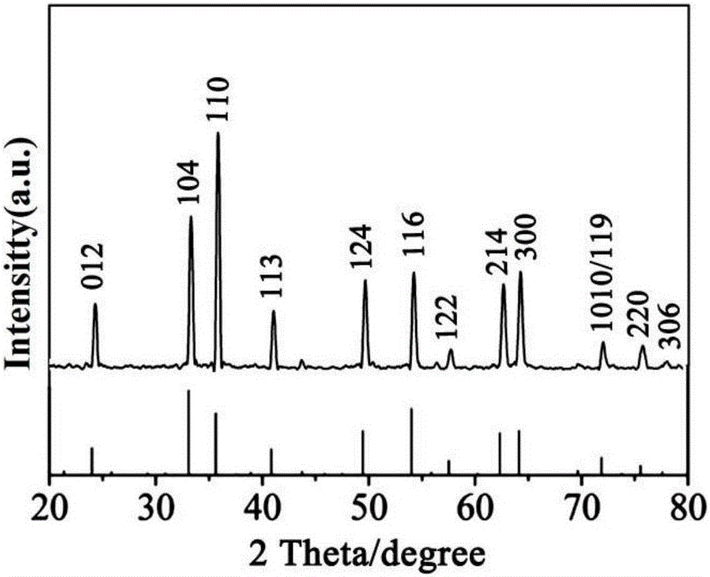 Method for preparing Fe2O3 nanometer particles by using collagen as biological mineralization template