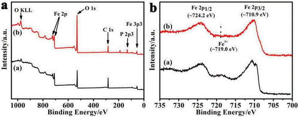 Method for preparing Fe2O3 nanometer particles by using collagen as biological mineralization template