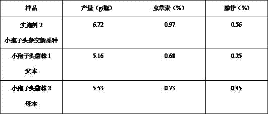 Method for breeding cordyceps militaris by hybridizing with ascospore on basis of molecular biological technology